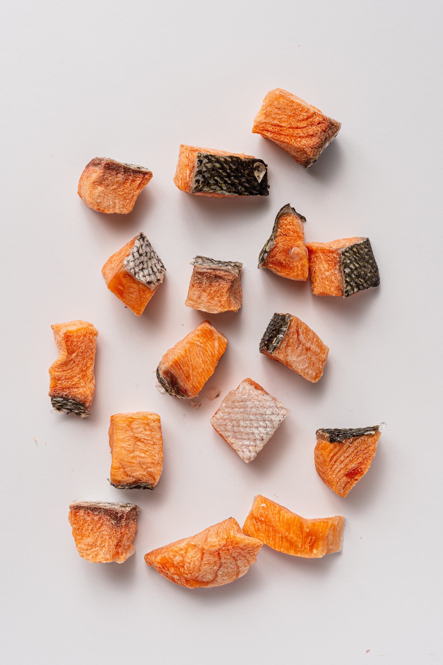Freeze-Dried Salmon 55g