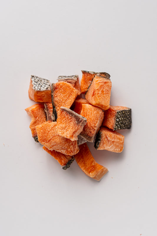 Freeze-Dried Salmon 55g