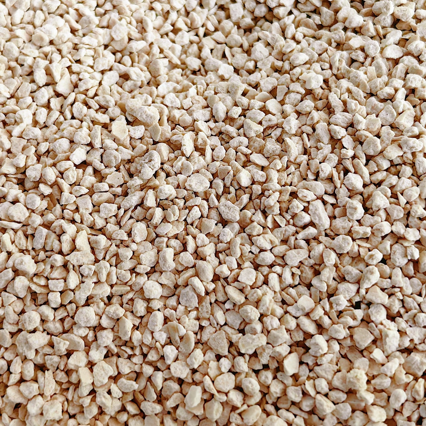 Green Bamboo Cat Litter